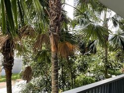 D'Leedon (D10), Condominium #591420451